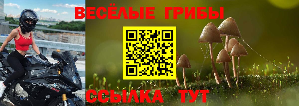 Миасс  Псилоцибиновые грибы прущие грибы  закладки  Вход с VPN  Галлюциногенные грибы GOLDEN TEACHER 